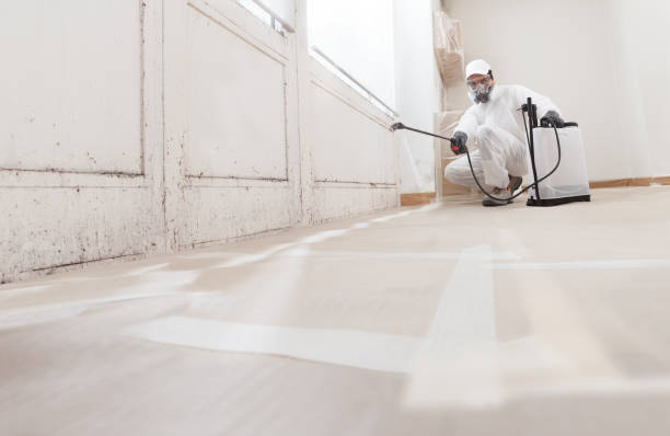 24/7 Emergency Mold Removal experts in Frankfort, KY