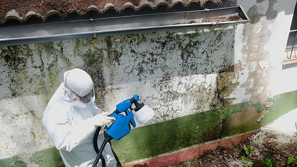 Trusted Mold Testing service in Frankfort, KY - Cheap Mold Removal